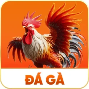 Đá Gà E39